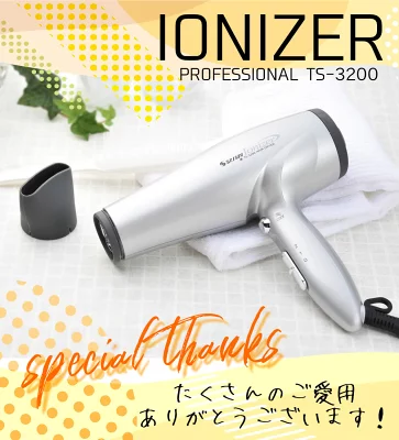 イオナイザー　IONIZER TS-3200 マイナスイオンドライヤー